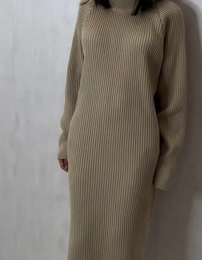 Knit Stretch Slim Dress