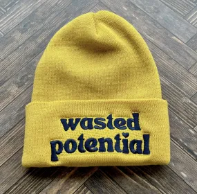 Wasted Potential Beanie